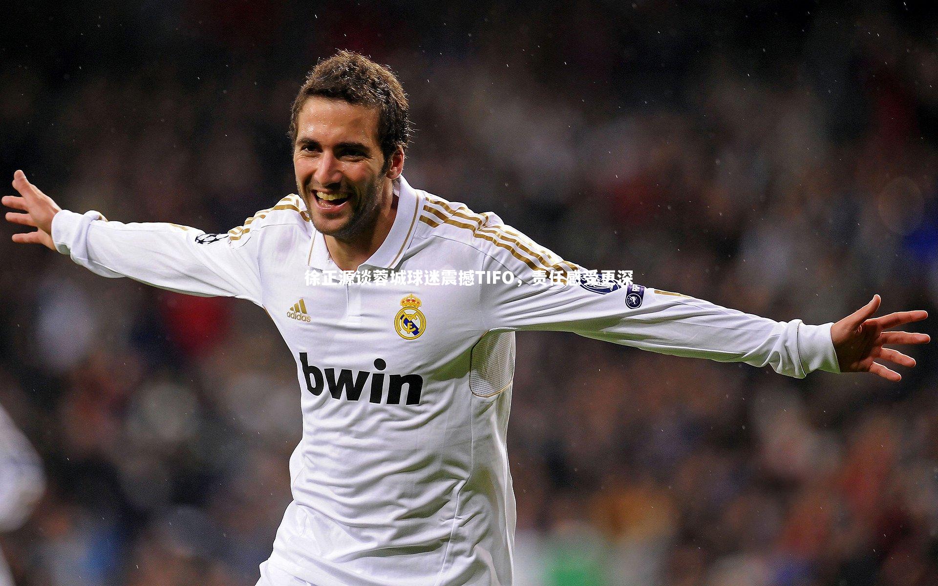 开云体育平台：徐正源谈蓉城球迷震撼TIFO，责任感受更深-第1张图片-开云官网app